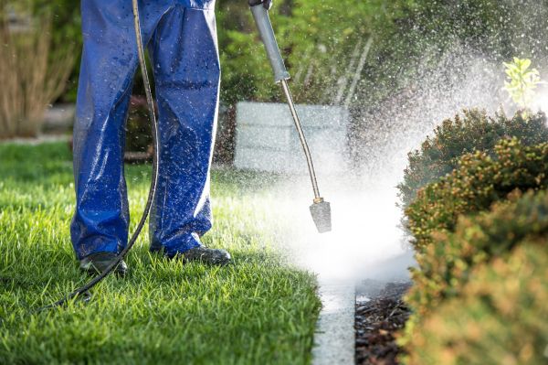 Curb Cleaning in Reno