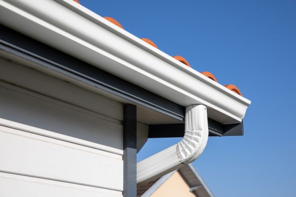 Roofline Cleaning in Reno