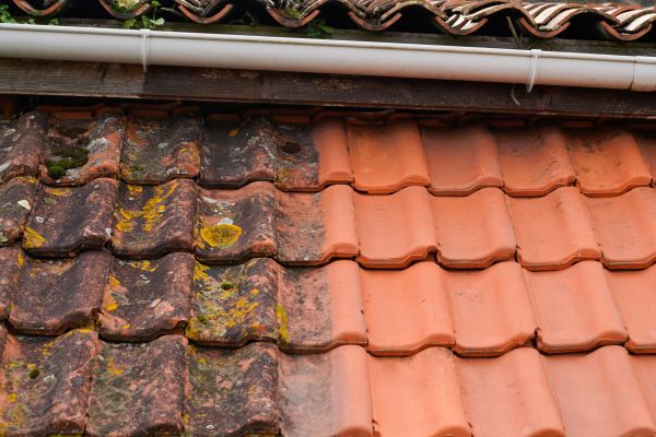 Industrial Roof Cleaning in Reno