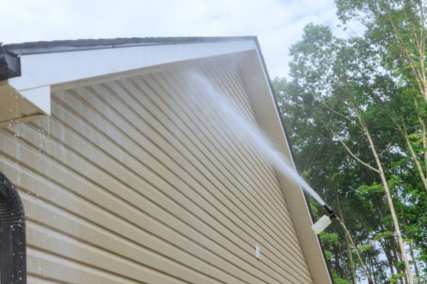 Siding Cleaning Service in Reno